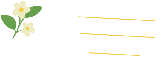 no2 セールを待たず、いつでもお得に買いたい方