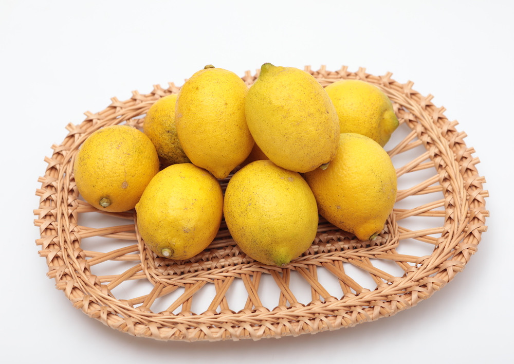 In You Market 製品 農薬 化学肥料不使用の自然栽培レモン 広島県産 酸っぱいだけでな In You Market 製品 農薬 化学肥料不使用の自然栽培レモン 広島県産 酸っぱいだけでな