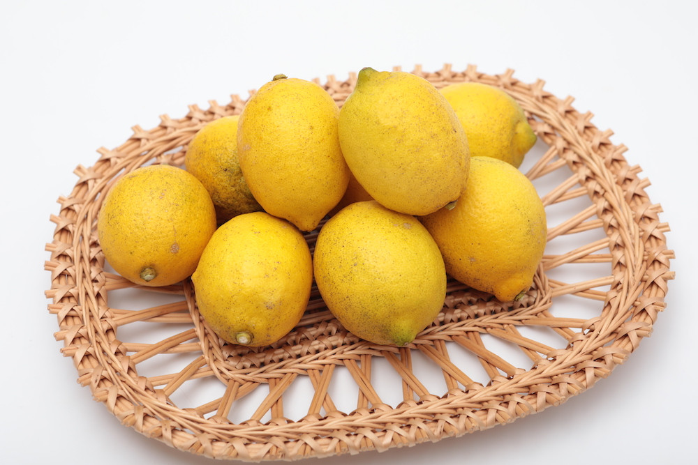 限定♪広島産 農薬も肥料も与えず自然に育った大きなまん丸レモン１ ...