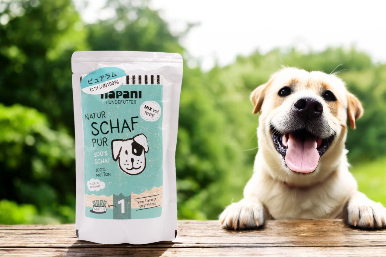 無添加ドッグフード