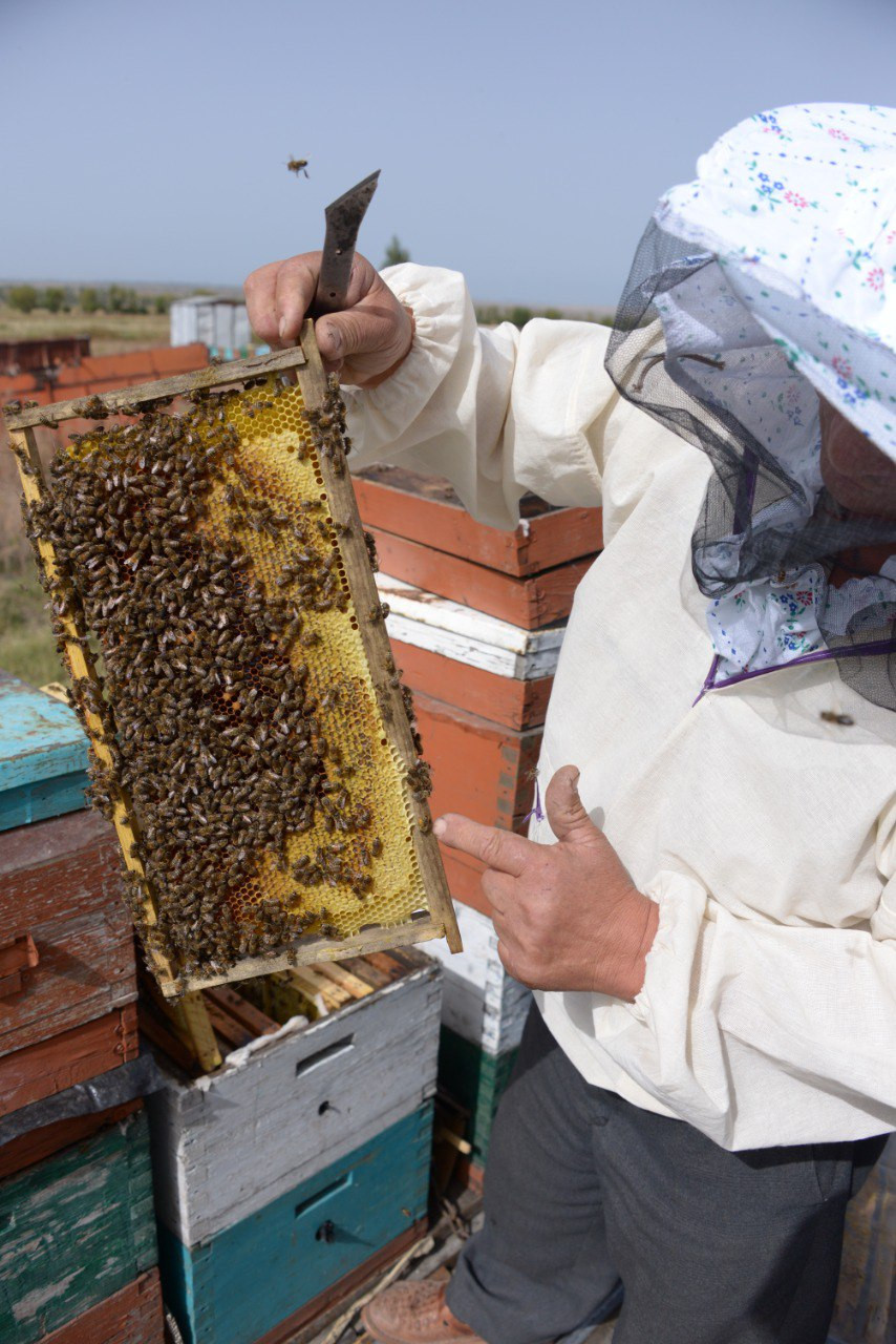 キルギス産エスパルセットハニー...