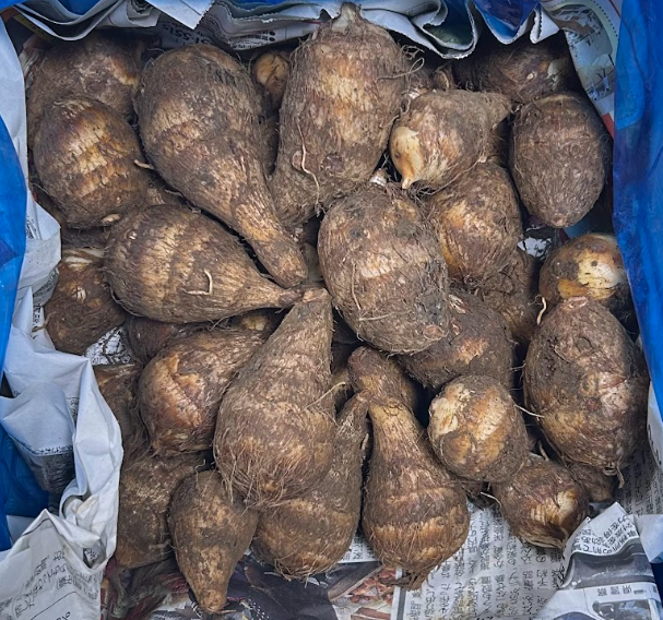 自然栽培・農薬不使用の里芋｜食品｜IN YOU MARKET 製品