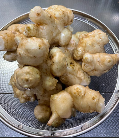 天然のインスリン