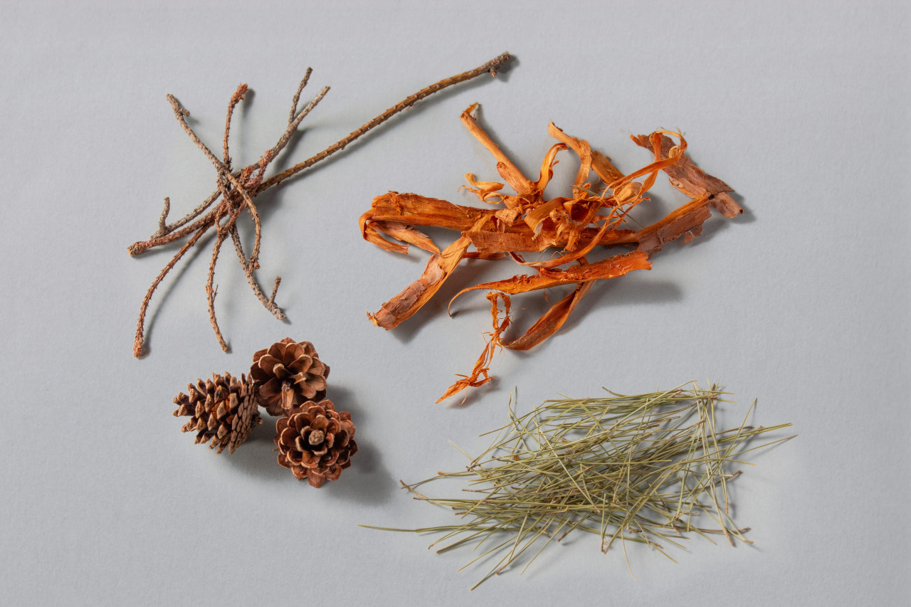 野生のブレンドティー