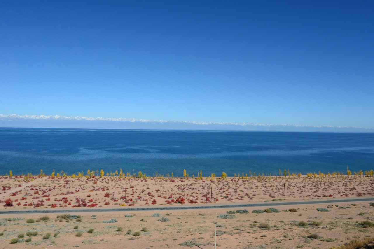 オーガニックカレンデュラオイル｜皮膚のガードマンが修復をサポート