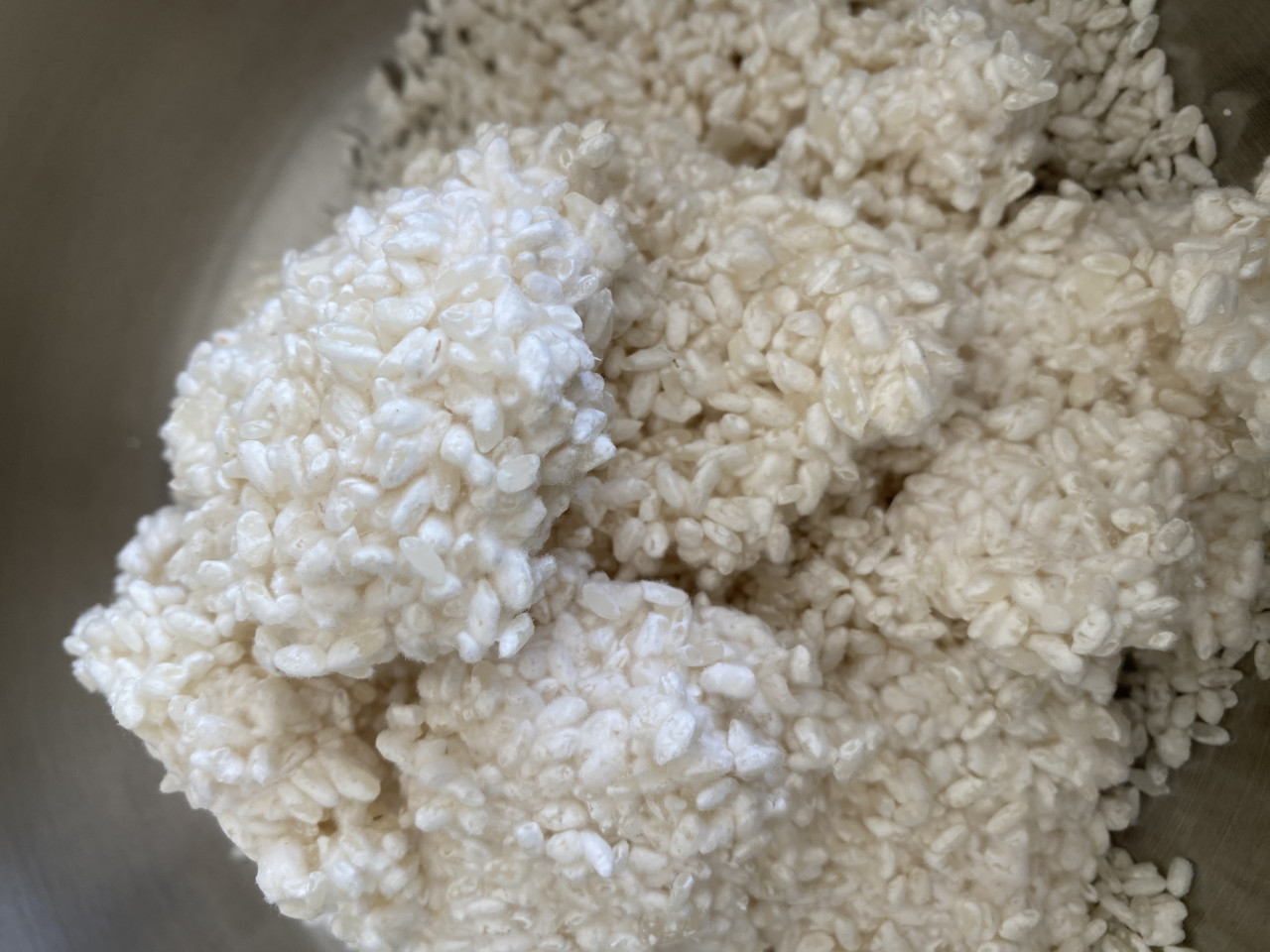 発酵モリンガ生醤油糀