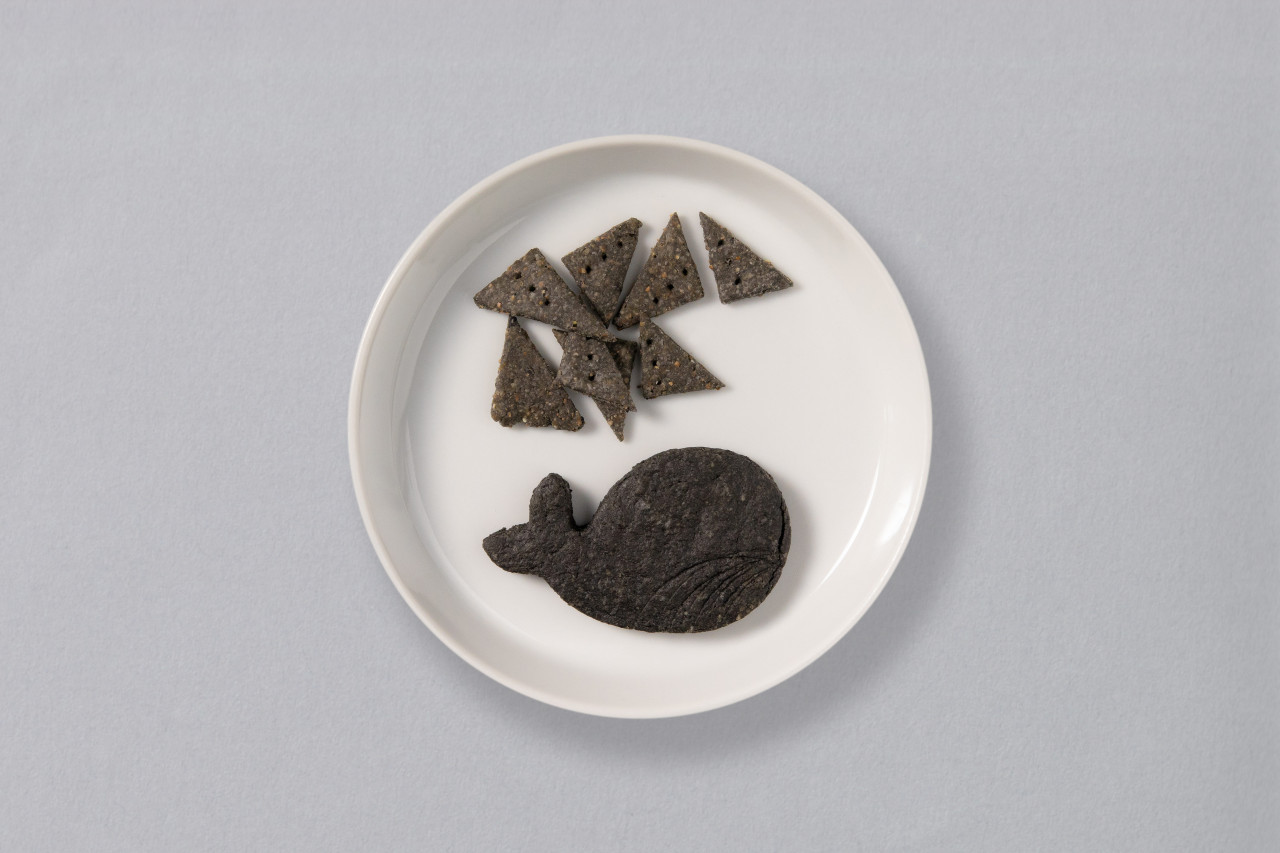 松のある暮らし