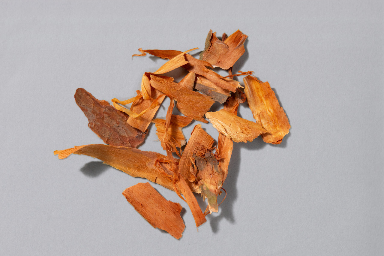 赤松樹皮茶｜松葉の デトックス