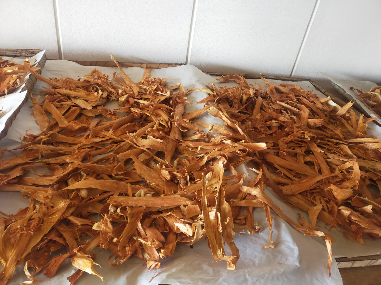 赤松樹皮茶｜松葉の デトックス