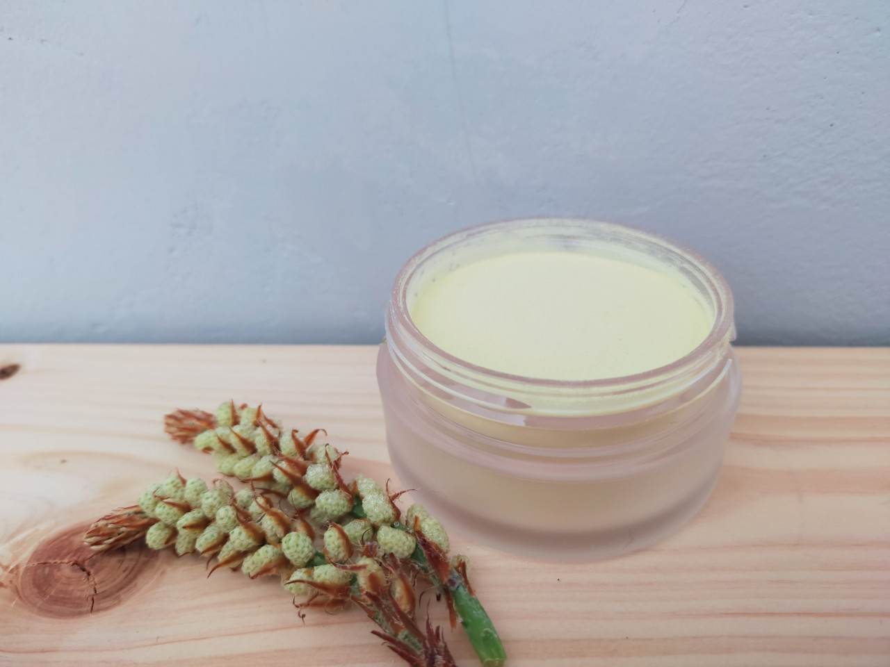 無農薬赤松花粉（パウダー）｜アミノ酸スコア100の 食べる美容液