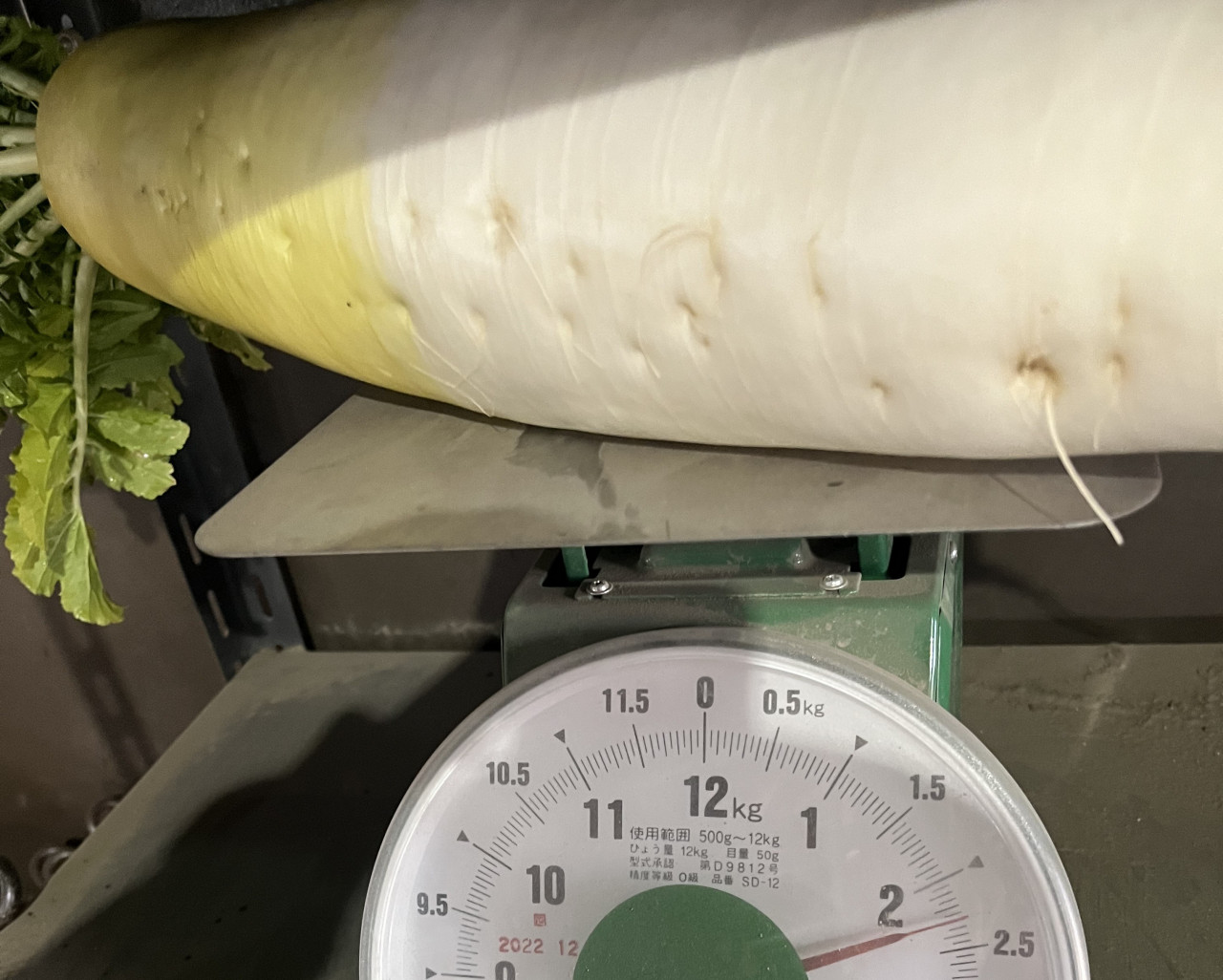 【自然栽培】臭みゼロで驚きの甘さ。完全天日干しの切り干し大根...