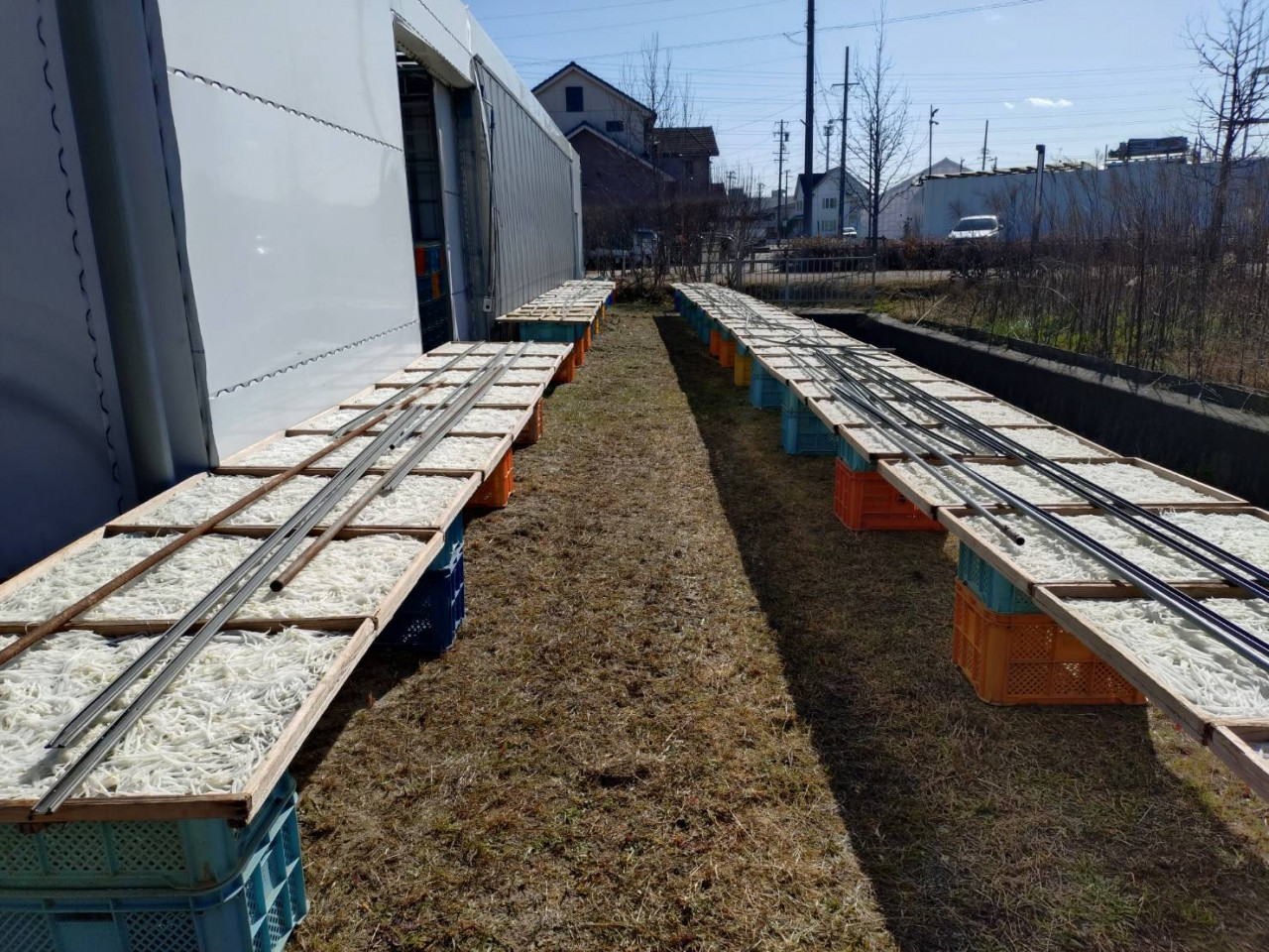 【自然栽培】臭みゼロで驚きの甘さ。完全天日干しの切り干し大根...