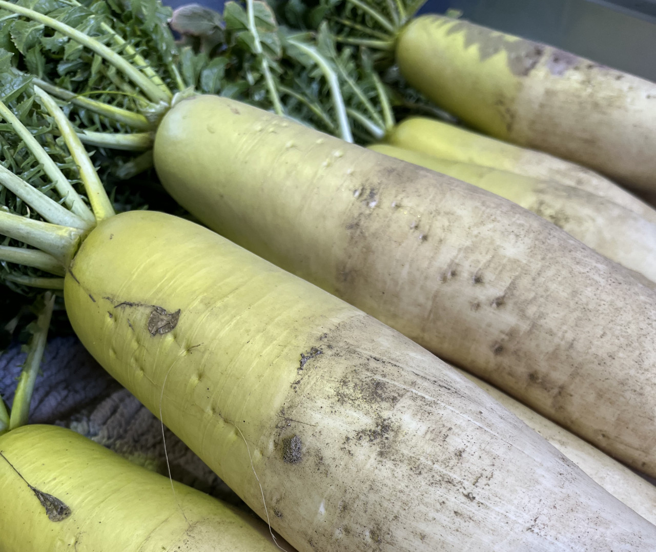 【自然栽培】臭みゼロで驚きの甘さ。完全天日干しの切り干し大根...