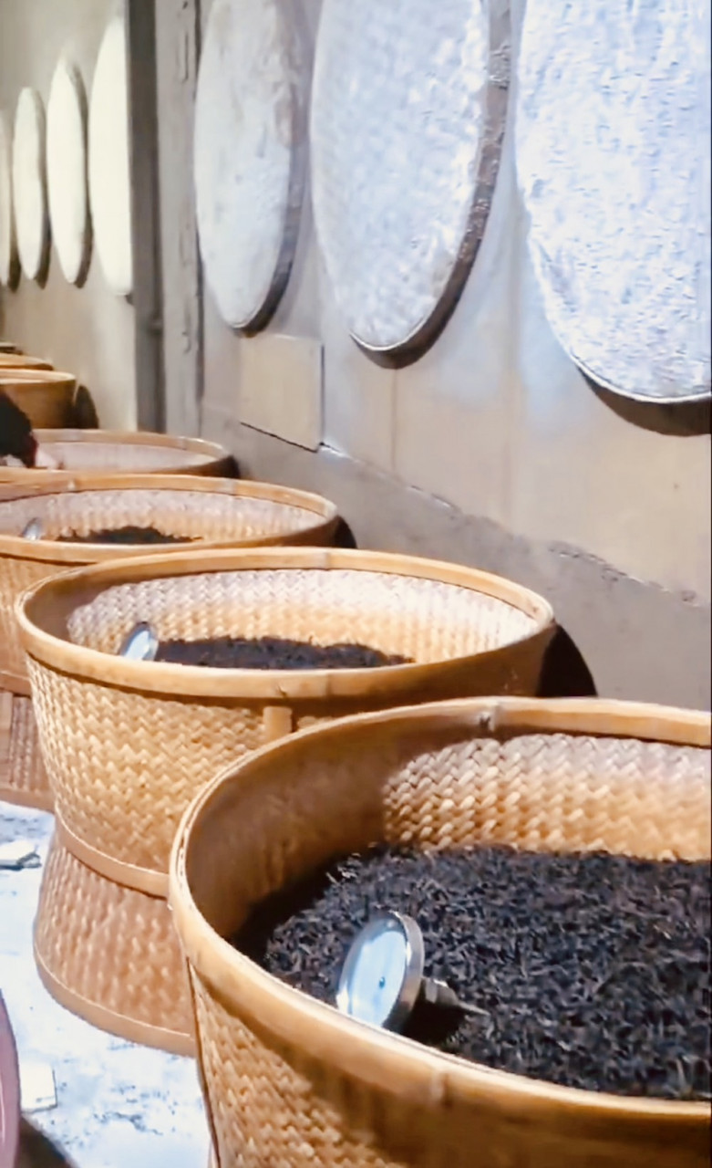 【無農薬・完全オーガニック】3種から選べる最高峰高級中国茶 武夷岩茶