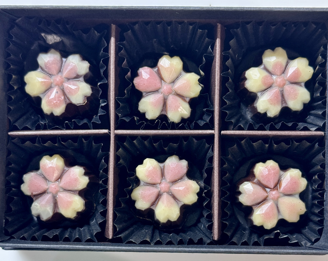 【オーガニック率99%のローチョコレート】桜のボンボンショコラ