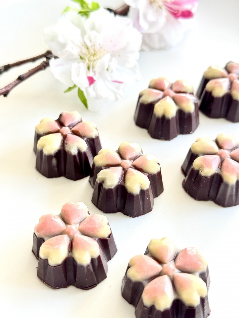 【オーガニック率99%のローチョコレート】桜のボンボンショコラ