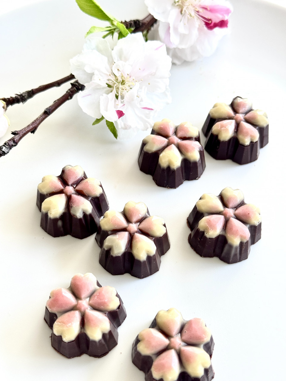 【オーガニック率99%のローチョコレート】桜のボンボンショコラ