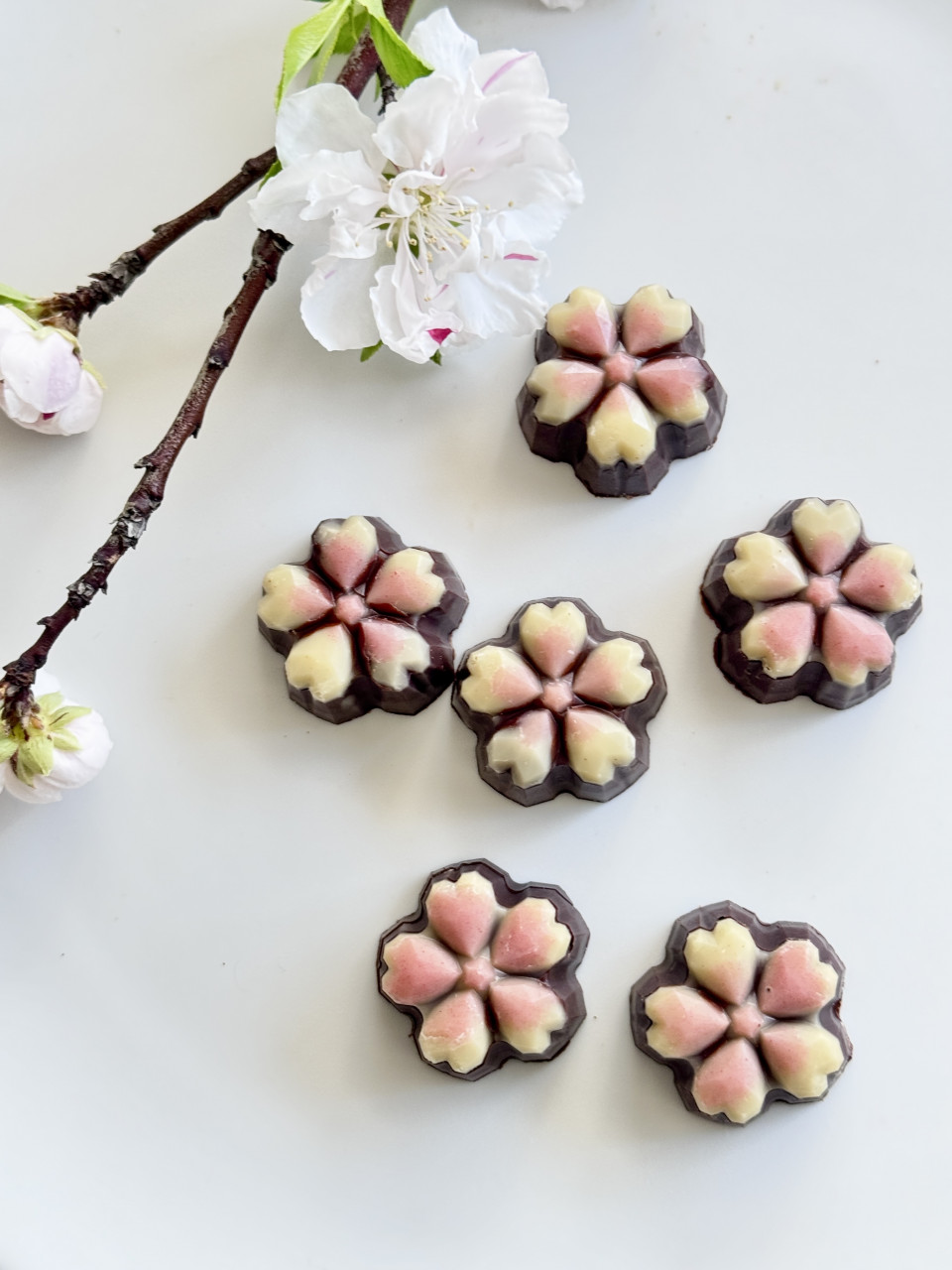【オーガニック率99%のローチョコレート】桜のボンボンショコラ