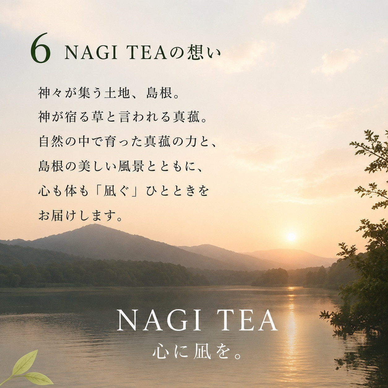 【粉末真菰（マコモパウダー）