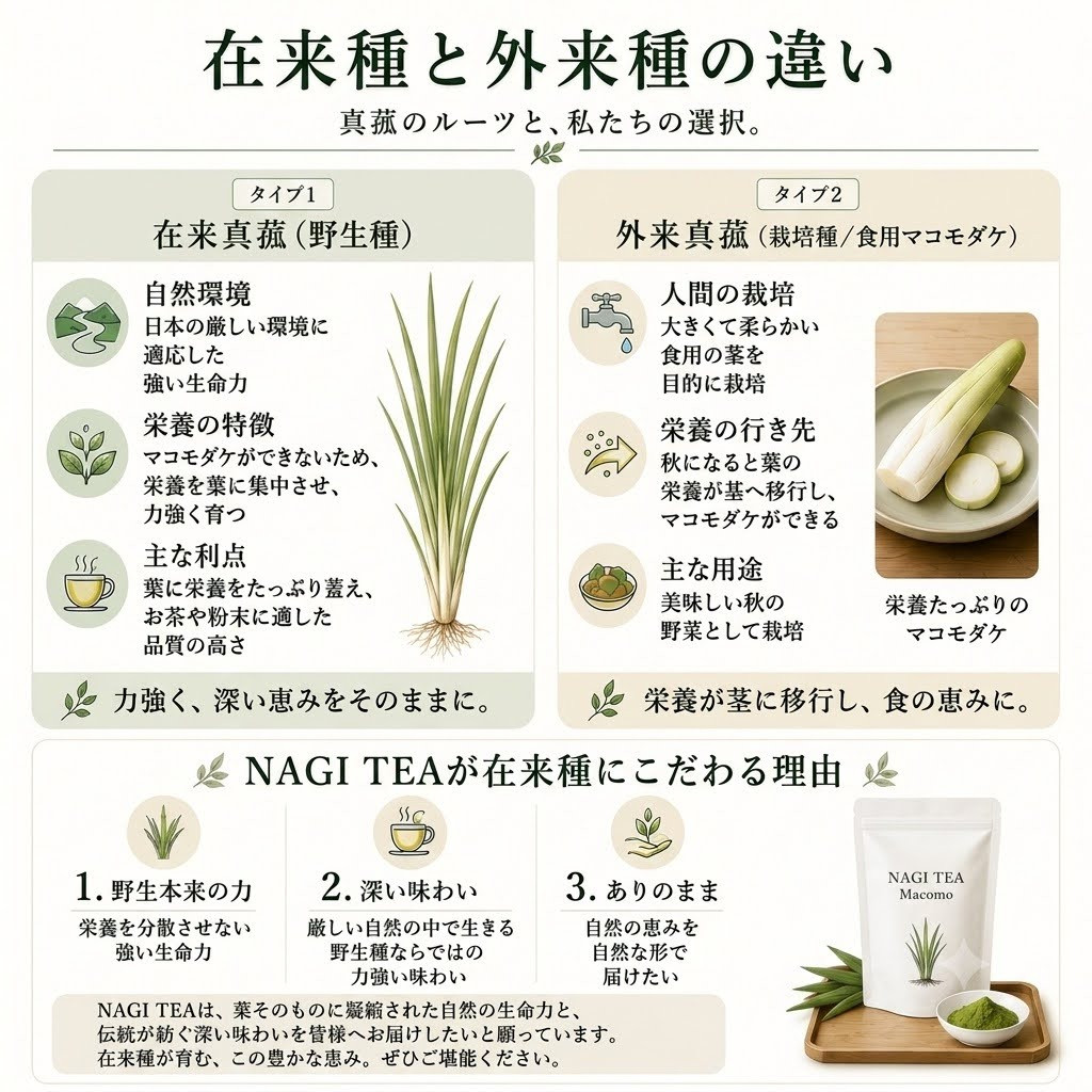 【粉末真菰（マコモパウダー）