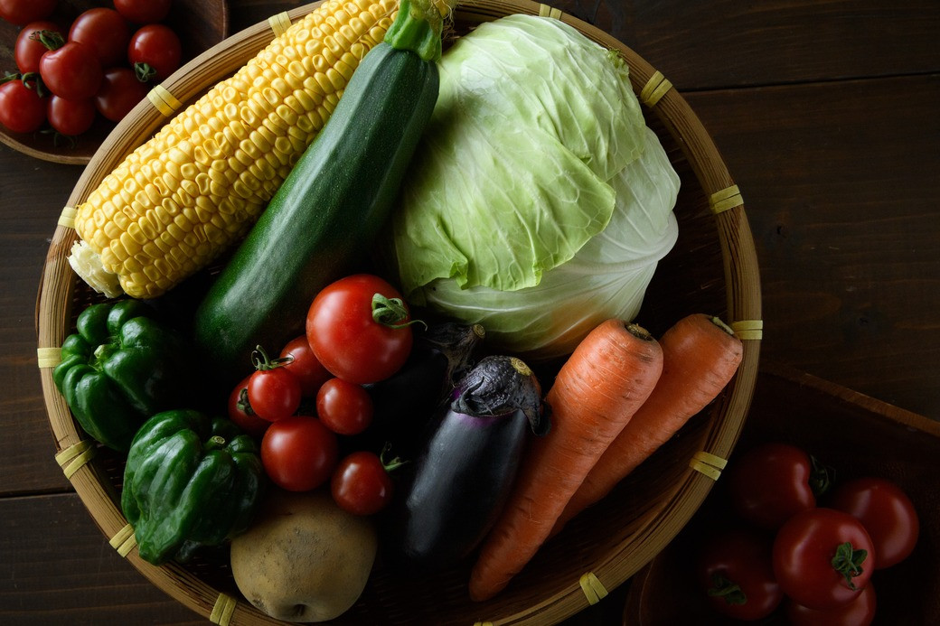 愛知県産・農薬化学肥料不使用の 正直な旬野菜セット