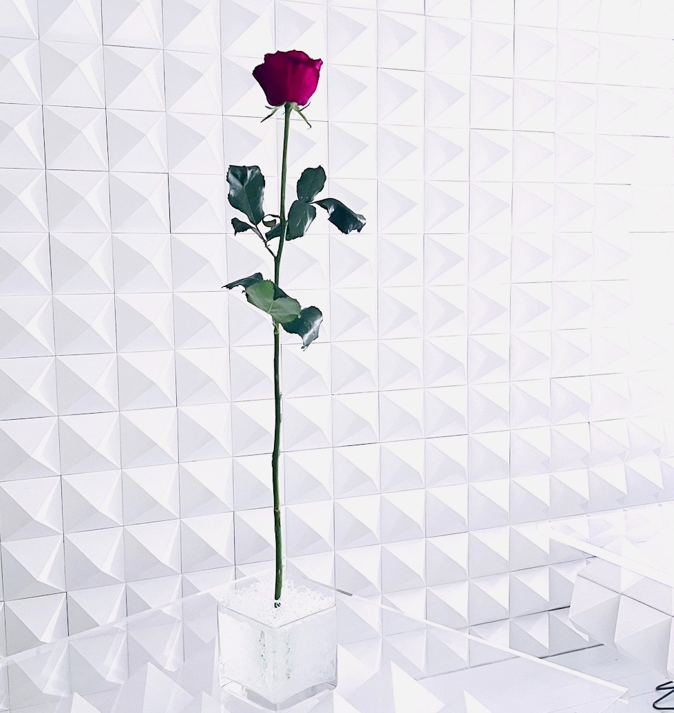 何にでも使える万能オーガニック薔薇ウォーター...