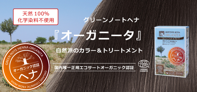 市場 ヘナの泉 オーガニックヘナ使用 100g エコサート認証原料 ブラック ヘナカラーパウダー